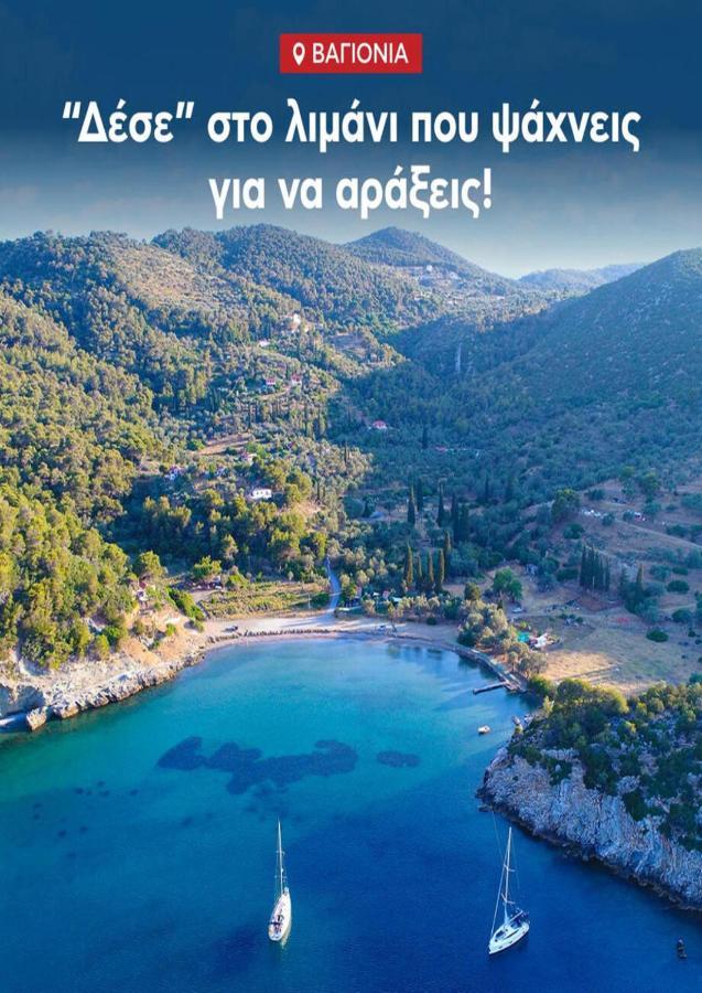 Private Beach House Irene Mare Poros Town Екстер'єр фото